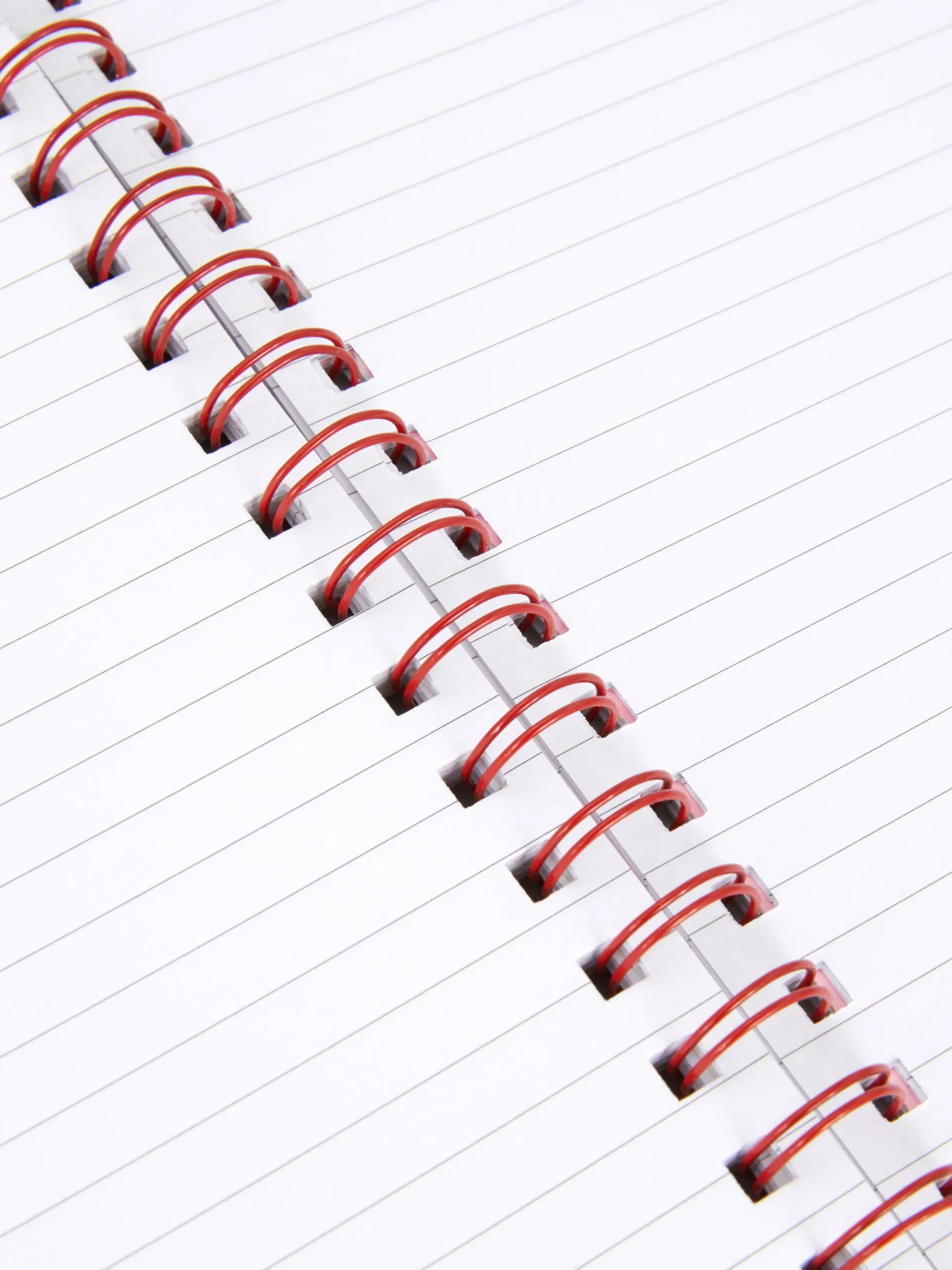 Notizbücher|Primark A5-Notizbuch Mit Blumenmuster Rosa