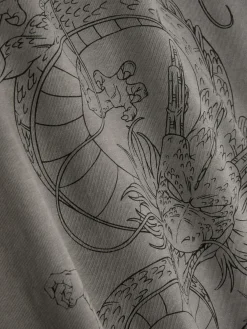 Tops Und T-Shirts|Primark „Dragon Ball Z“ T-Shirt Mit Grafik Hellgrau