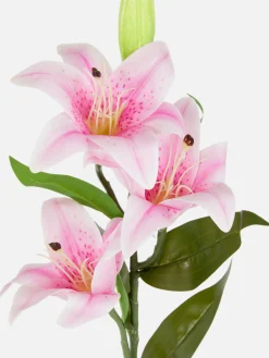 Kunstpflanzen Und -Blumen|Primark Einstielige Kunstlilie Rosa