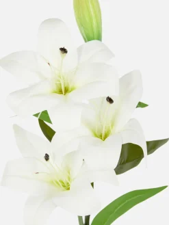 Kunstpflanzen Und -Blumen|Primark Einstielige Kunstlilie Weiß