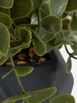 Kunstpflanzen Und -Blumen|Primark Hängende Künstliche Sukkulente In Geometrischem Topf Schwarz