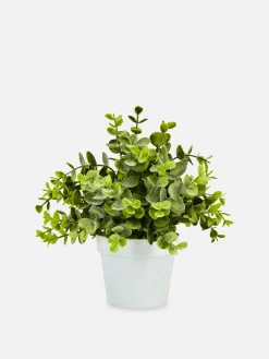 Kunstpflanzen Und -Blumen|Primark Kleine Künstliche Eukalyptuspflanze Weiß