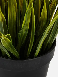 Kunstpflanzen Und -Blumen|Primark Kleine Künstliche Graspflanze Schwarz