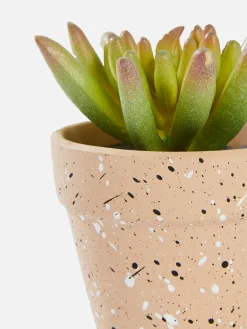 Kunstpflanzen Und -Blumen|Primark Kleine Künstliche Sukkulente Multi