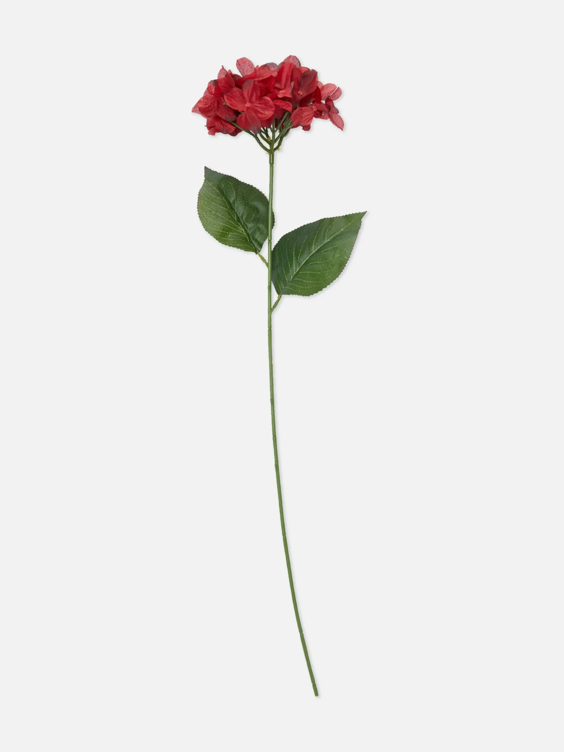 Kunstpflanzen Und -Blumen|Primark Künstliche, Einzelne Blume Rot