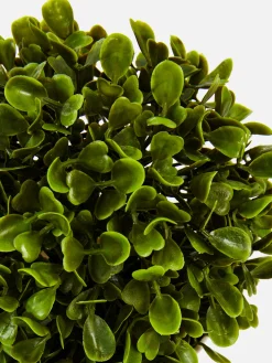 Kunstpflanzen Und -Blumen|Primark Künstliche Sukkulente Im Topf Weiß