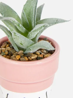 Kunstpflanzen Und -Blumen|Primark Künstliche Sukkulente In Buntem Topf Rosa