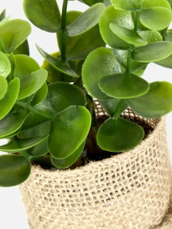Kunstpflanzen Und -Blumen|Primark Künstliche Sukkulente In Jutetopf Multi