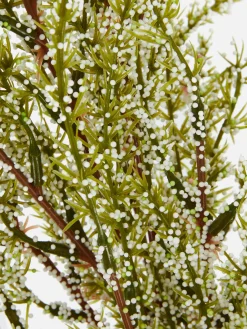 Kunstpflanzen Und -Blumen|Primark Künstlicher Farnzweig Cremefarben