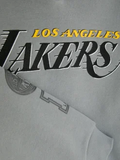 Hoodies Und Sweatshirts|Primark „NBA LA Lakers“ Hoodie Dunkelgrau